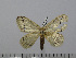  ( - BC-Basq 3024)  @12 [ ] Copyright (2011) Patrick Basquin Research Collection of Patrick Basquin
