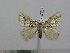  ( - BC-Basq 3032)  @13 [ ] Copyright (2011) Patrick Basquin Research Collection of Patrick Basquin