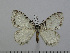  ( - BC-Basq 3034)  @13 [ ] Copyright (2011) Patrick Basquin Research Collection of Patrick Basquin