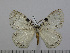  ( - BC-Basq 3035)  @12 [ ] Copyright (2011) Patrick Basquin Research Collection of Patrick Basquin