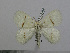  ( - BC-Basq 3056)  @13 [ ] Copyright (2011) Patrick Basquin Research Collection of Patrick Basquin