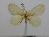  ( - BC-Basq 3066)  @11 [ ] Copyright (2011) Patrick Basquin Research Collection of Patrick Basquin
