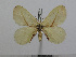  ( - BC-Basq 3067)  @11 [ ] Copyright (2011) Patrick Basquin Research Collection of Patrick Basquin