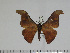  ( - BC-Basq 3137)  @13 [ ] Copyright (2011) Patrick Basquin Research Collection of Patrick Basquin