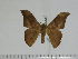  ( - BC-Basq 3147)  @13 [ ] Copyright (2011) Patrick Basquin Research Collection of Patrick Basquin