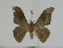  ( - BC-Basq 3151)  @14 [ ] Copyright (2011) Patrick Basquin Research Collection of Patrick Basquin