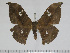  ( - BC-Basq 3166)  @14 [ ] Copyright (2011) Patrick Basquin Research Collection of Patrick Basquin