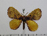  ( - BC-Basq 2831)  @11 [ ] Copyright (2011) Patrick Basquin Research Collection of Patrick Basquin