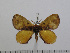  ( - BC-Basq 2833)  @13 [ ] Copyright (2011) Patrick Basquin Research Collection of Patrick Basquin