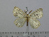  ( - BC-Basq 3002)  @11 [ ] Copyright (2011) Patrick Basquin Research Collection of Patrick Basquin
