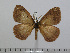  ( - BC-Basq 2963)  @14 [ ] Copyright (2011) Patrick Basquin Research Collection of Patrick Basquin