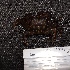  ( - pmu2)  @11 [ ] Unspecified (default): All Rights Reserved  Unspecified Unspecified