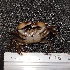  ( - pmu2)  @11 [ ] Unspecified (default): All Rights Reserved  Unspecified Unspecified
