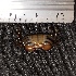  ( - pmu3)  @11 [ ] Unspecified (default): All Rights Reserved  Unspecified Unspecified