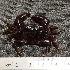  ( - pmu4)  @11 [ ] Unspecified (default): All Rights Reserved  Unspecified Unspecified