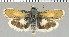  ( - yellow-11)  @11 [ ] Unspecified (default): All Rights Reserved  Unspecified Unspecified