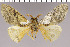  ( - red-110)  @14 [ ] Unspecified (default): All Rights Reserved  Unspecified Unspecified