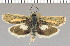  ( - yellow-112)  @14 [ ] Unspecified (default): All Rights Reserved  Unspecified Unspecified