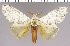  ( - red-113)  @14 [ ] Unspecified (default): All Rights Reserved  Unspecified Unspecified