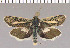  ( - yellow-113)  @13 [ ] Unspecified (default): All Rights Reserved  Unspecified Unspecified