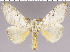  ( - red-114)  @14 [ ] Unspecified (default): All Rights Reserved  Unspecified Unspecified