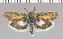  ( - yellow-114)  @14 [ ] Unspecified (default): All Rights Reserved  Unspecified Unspecified