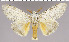 ( - red-115)  @14 [ ] Unspecified (default): All Rights Reserved  Unspecified Unspecified