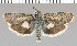  ( - yellow-115)  @14 [ ] Unspecified (default): All Rights Reserved  Unspecified Unspecified