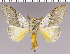  ( - red-116)  @14 [ ] Unspecified (default): All Rights Reserved  Unspecified Unspecified