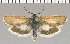  ( - yellow-116)  @13 [ ] Unspecified (default): All Rights Reserved  Unspecified Unspecified