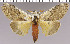  ( - red-117)  @14 [ ] Unspecified (default): All Rights Reserved  Unspecified Unspecified