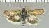  ( - yellow-117)  @13 [ ] Unspecified (default): All Rights Reserved  Unspecified Unspecified