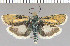  ( - yellow-118)  @14 [ ] Unspecified (default): All Rights Reserved  Unspecified Unspecified