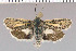  ( - yellow-119)  @13 [ ] Unspecified (default): All Rights Reserved  Unspecified Unspecified