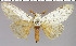  ( - red-12)  @14 [ ] Unspecified (default): All Rights Reserved  Unspecified Unspecified
