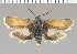  ( - yellow-12)  @11 [ ] Unspecified (default): All Rights Reserved  Unspecified Unspecified