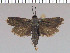  ( - yellow-120)  @13 [ ] Unspecified (default): All Rights Reserved  Unspecified Unspecified