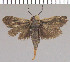  ( - yellow-121)  @13 [ ] Unspecified (default): All Rights Reserved  Unspecified Unspecified