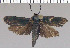 ( - yellow-122)  @13 [ ] Unspecified (default): All Rights Reserved  Unspecified Unspecified