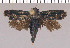  ( - yellow-123)  @13 [ ] Unspecified (default): All Rights Reserved  Unspecified Unspecified