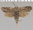  ( - yellow-124)  @13 [ ] Unspecified (default): All Rights Reserved  Unspecified Unspecified