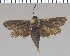  ( - yellow-125)  @13 [ ] Unspecified (default): All Rights Reserved  Unspecified Unspecified