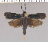  ( - yellow-126)  @13 [ ] Unspecified (default): All Rights Reserved  Unspecified Unspecified