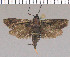  ( - yellow-127)  @13 [ ] Unspecified (default): All Rights Reserved  Unspecified Unspecified