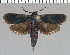  ( - yellow-129)  @13 [ ] Unspecified (default): All Rights Reserved  Unspecified Unspecified