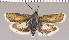 ( - yellow-13)  @11 [ ] Unspecified (default): All Rights Reserved  Unspecified Unspecified