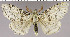  ( - red-132)  @13 [ ] Unspecified (default): All Rights Reserved  Unspecified Unspecified