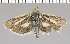  ( - yellow-138)  @13 [ ] Unspecified (default): All Rights Reserved  Unspecified Unspecified