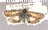  ( - yellow-139)  @13 [ ] Unspecified (default): All Rights Reserved  Unspecified Unspecified