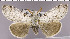  ( - red-140)  @14 [ ] Unspecified (default): All Rights Reserved  Unspecified Unspecified